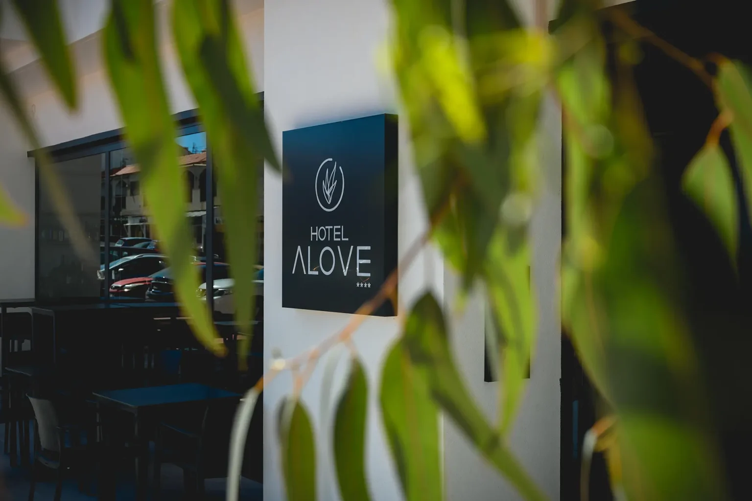 vista parte recepcion hotel alove en san josé